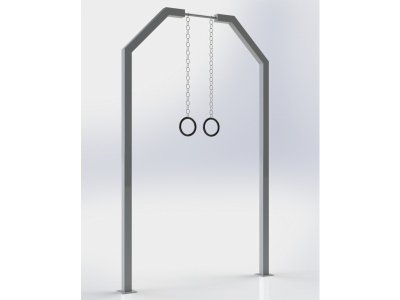 Gymnastic rings SW007 (en)